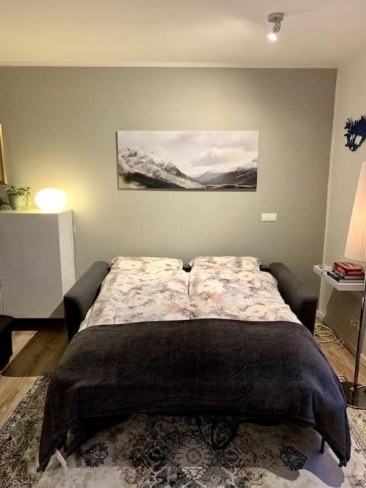 Cosy One Bedroom In *
