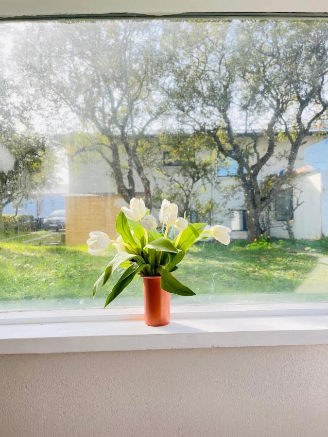 Accommodatie bij particulieren Nordic International Reykjavík