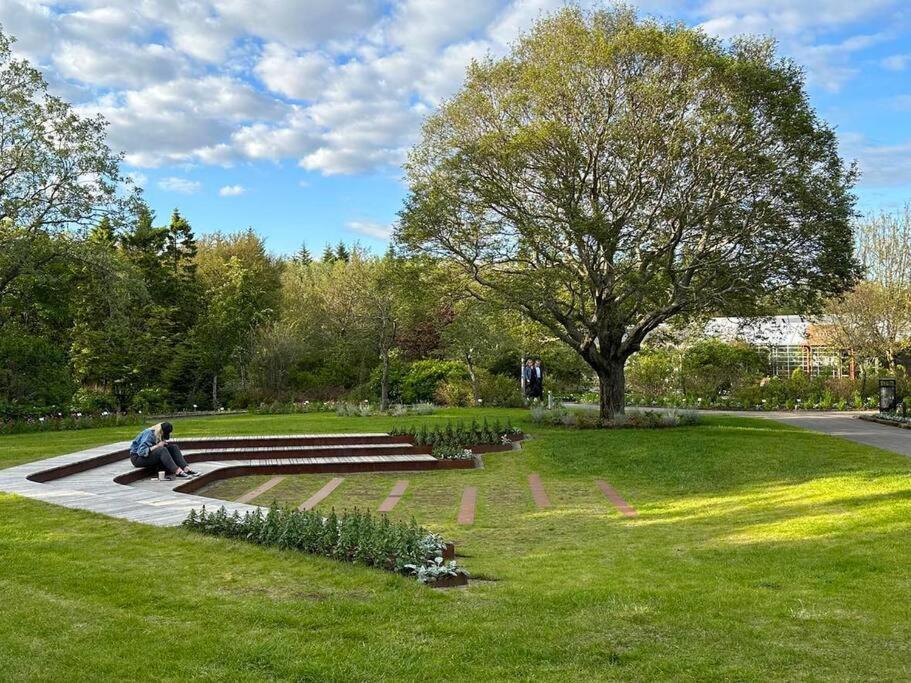 Apartment Cosy Next To The Botanic Garden And Close To Centrum