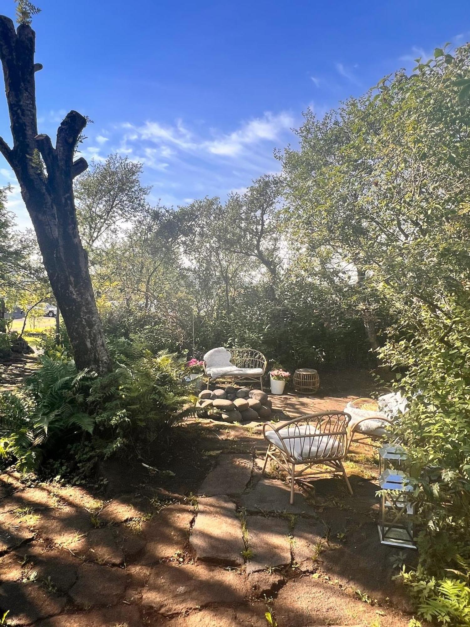Casa Disa - Dreams, A Boutique In City's Park And Botanical Garden In Laugardalur, Hot-spring-valley *