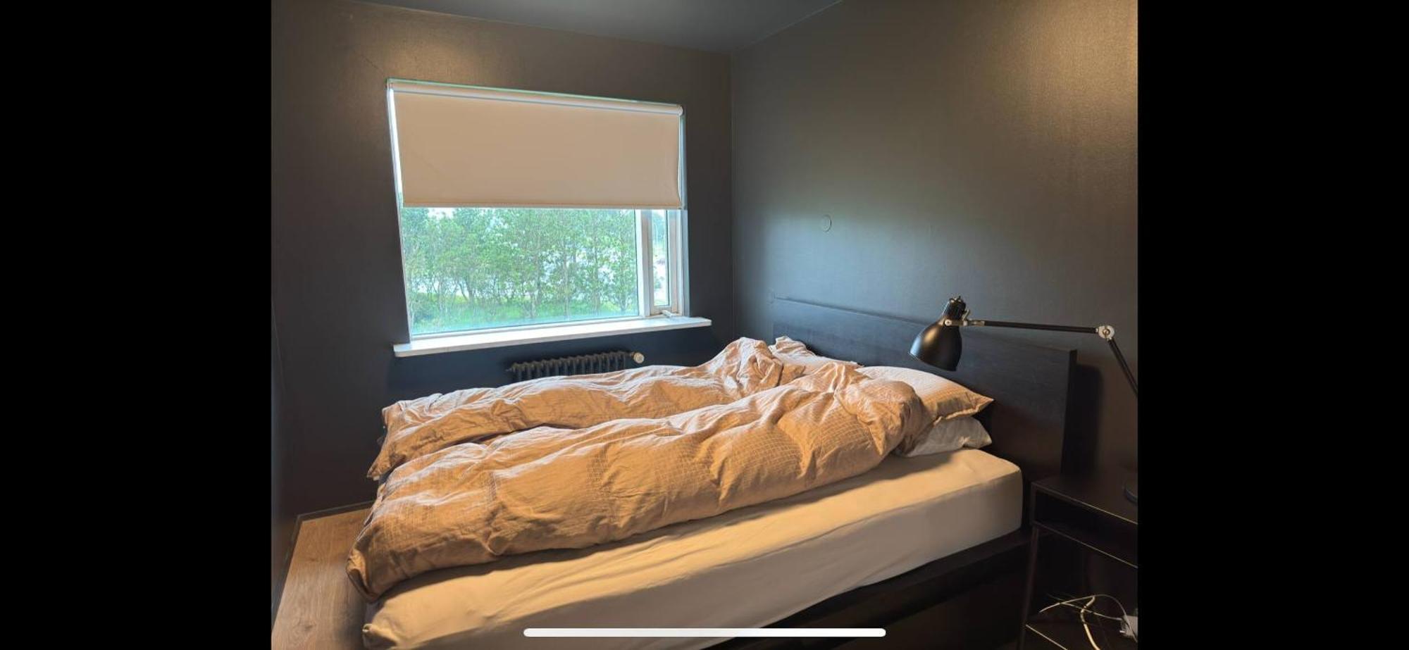 1-bedroom Apt. Washer/dryer, Easy Access To Road 1 Apartment Reykjavík