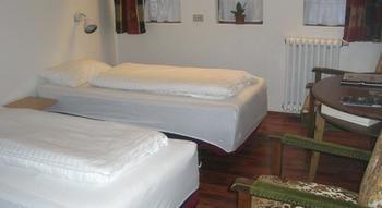 Downtown 3*