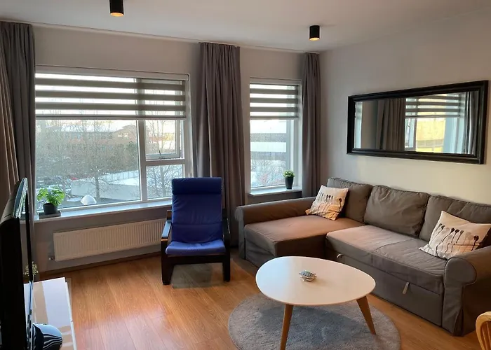 Beautiful Flat In Downtown Reykjavik With A Veiw