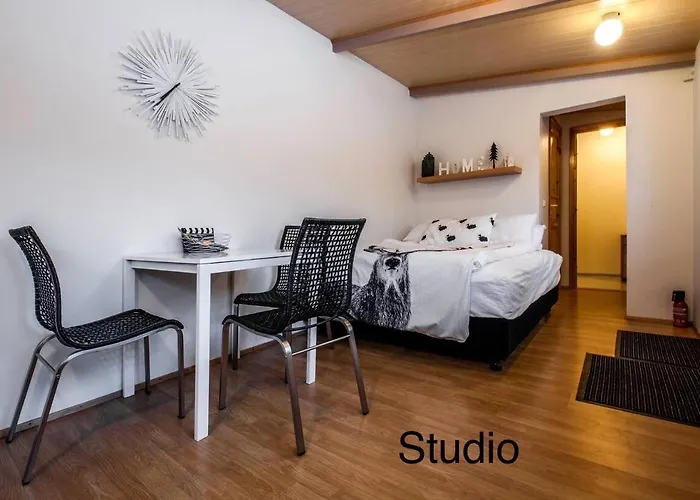 Great Location Downtown Studio
