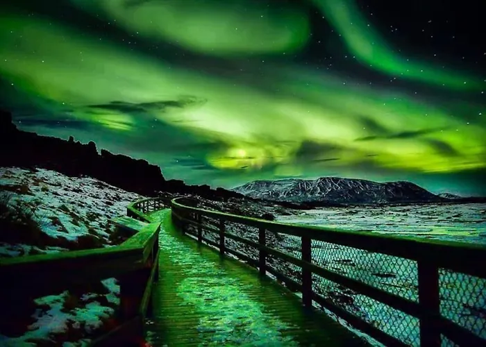 Heart Of Reykjavik-Afslattur-Check Numer A Mynd