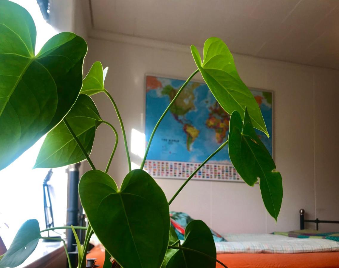 Accommodatie bij particulieren Reykjavik Guesthouse