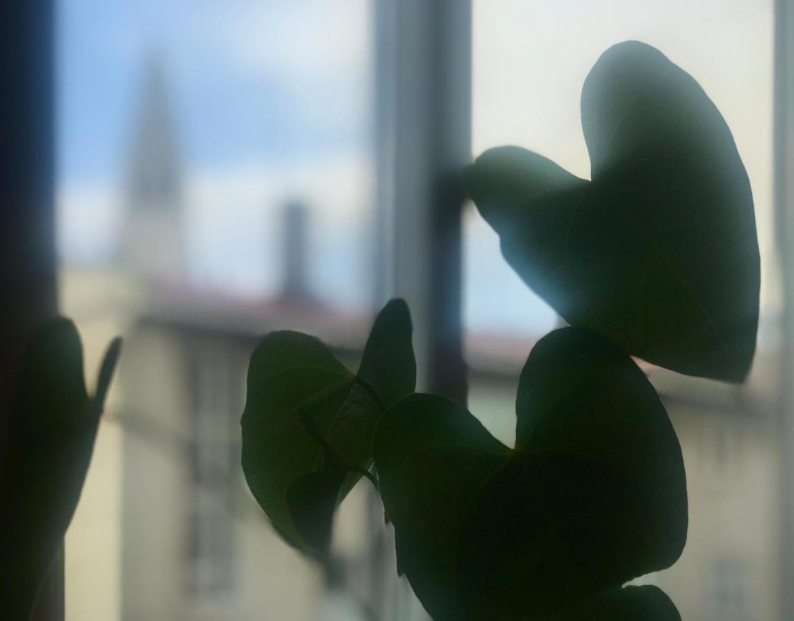 Accommodatie bij particulieren Reykjavik Guesthouse Reykjavík