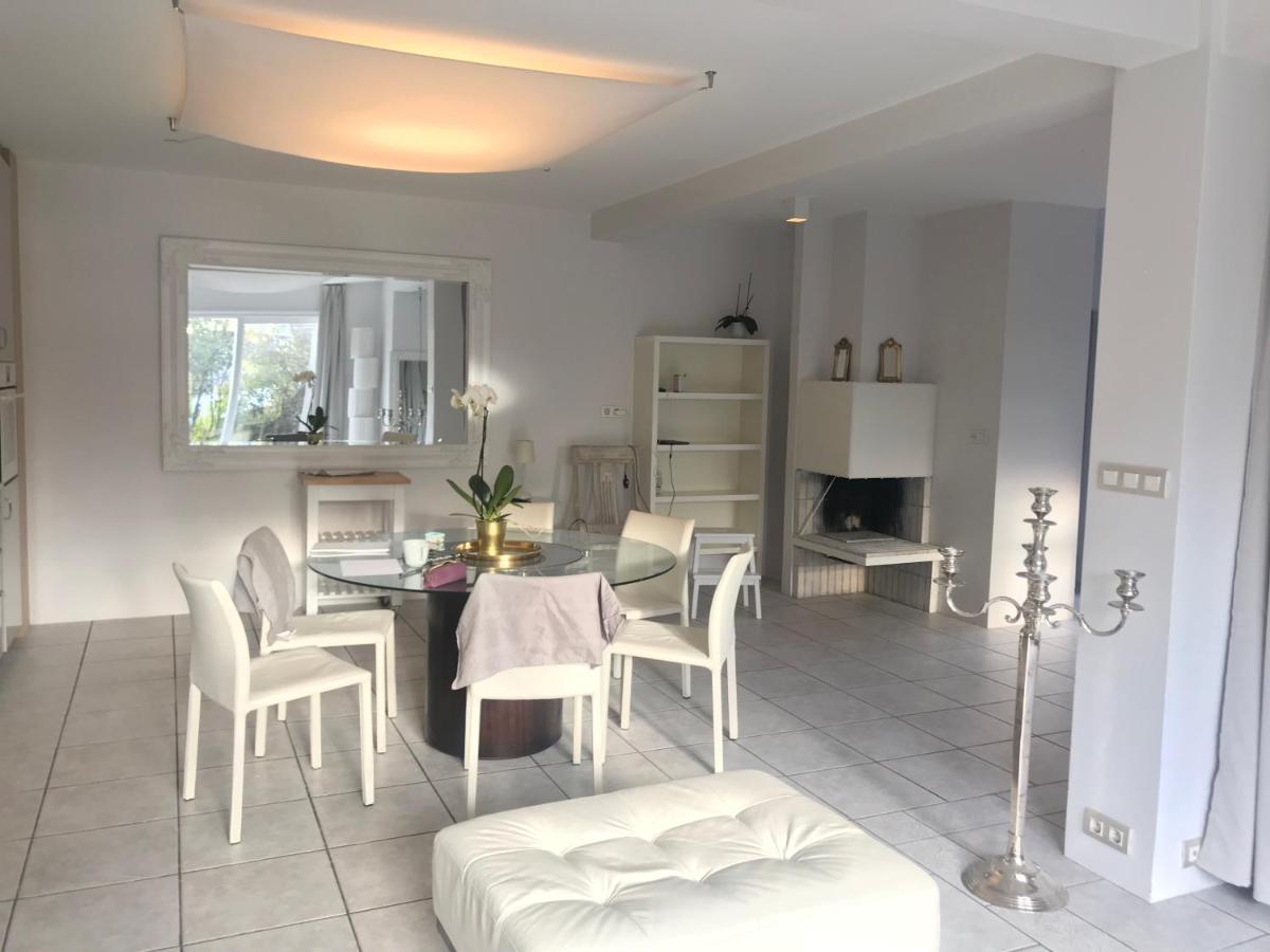 Casa Disa - A Boutique In City's Park And Botanical Garden In Laugardalur, Hot-spring-valley *