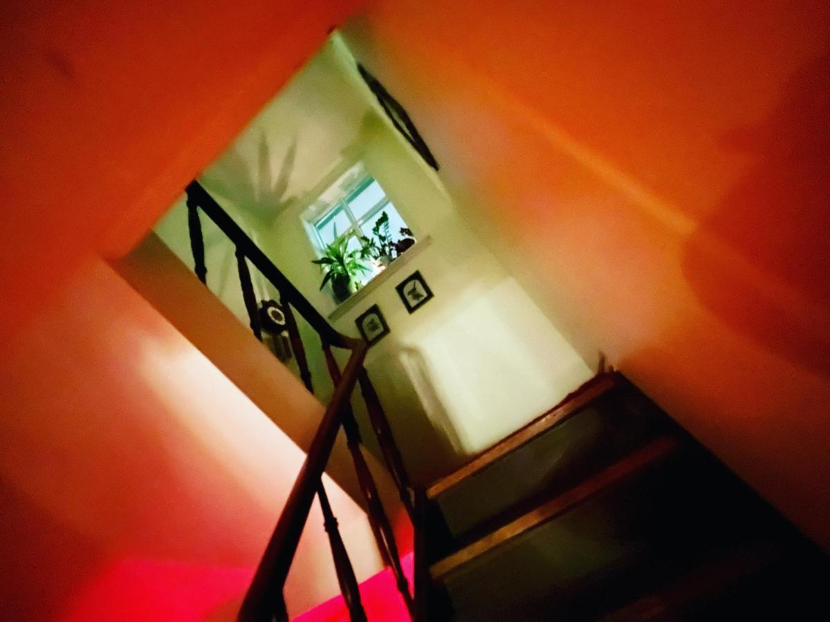 Reykjavik Guesthouse Accommodatie bij particulieren