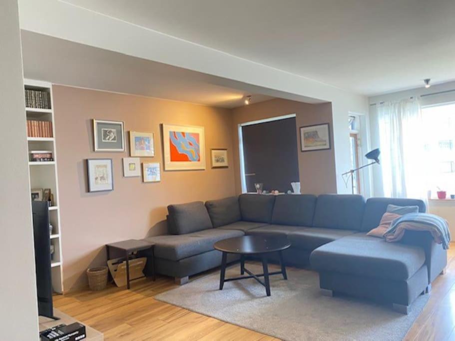 Spacious 3 Bedroom Apartment,close To Centrum. Apartment Reykjavik