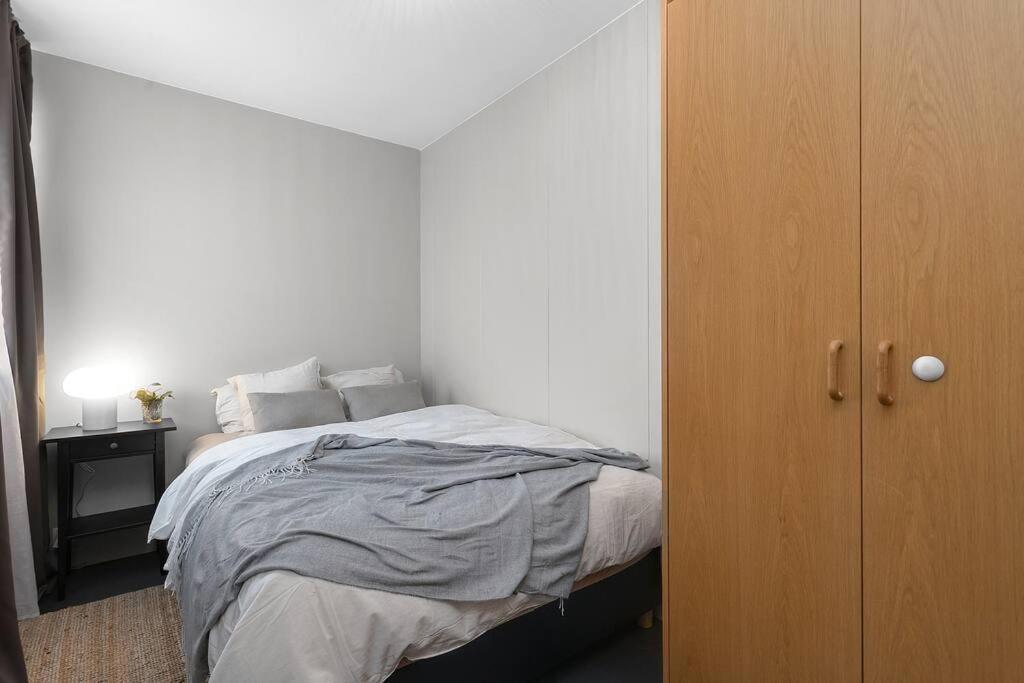 Cheerful 3br Down Town Newly Renovated Appartement Reykjavík