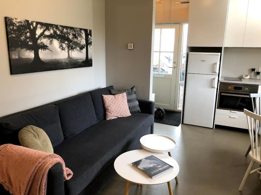 Apartamento Adorable One Bedroom With Free Parking. Reiquiavique