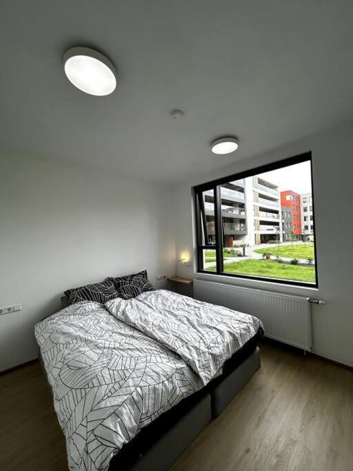 A Modern & Homely *