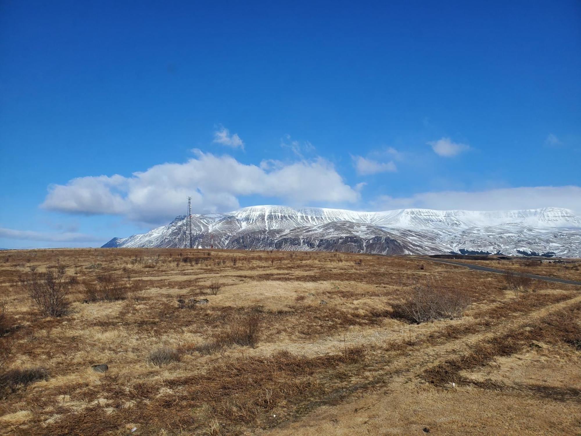 Vithines Gasthof Reykjavík