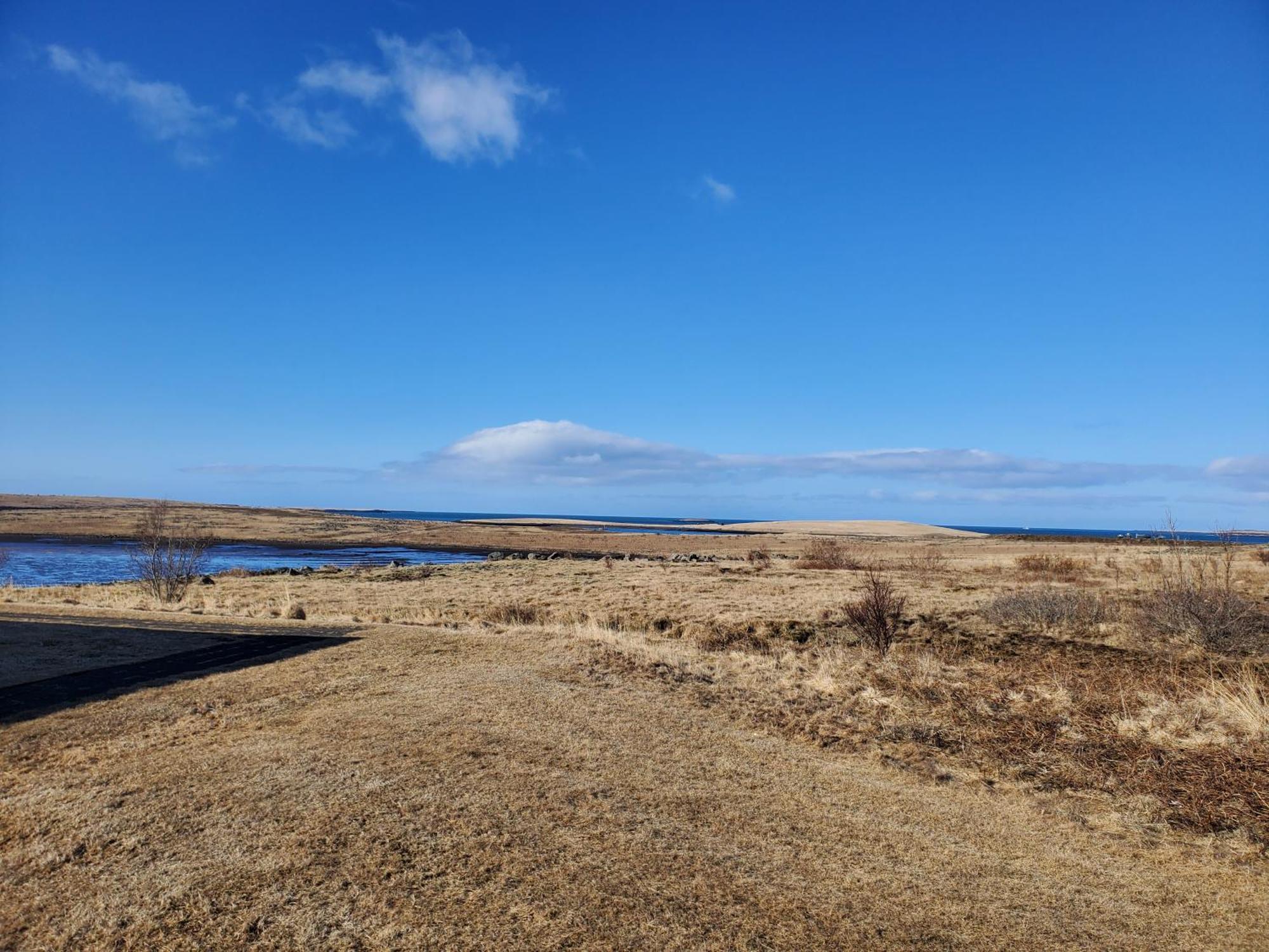 Vithines Reykjavík