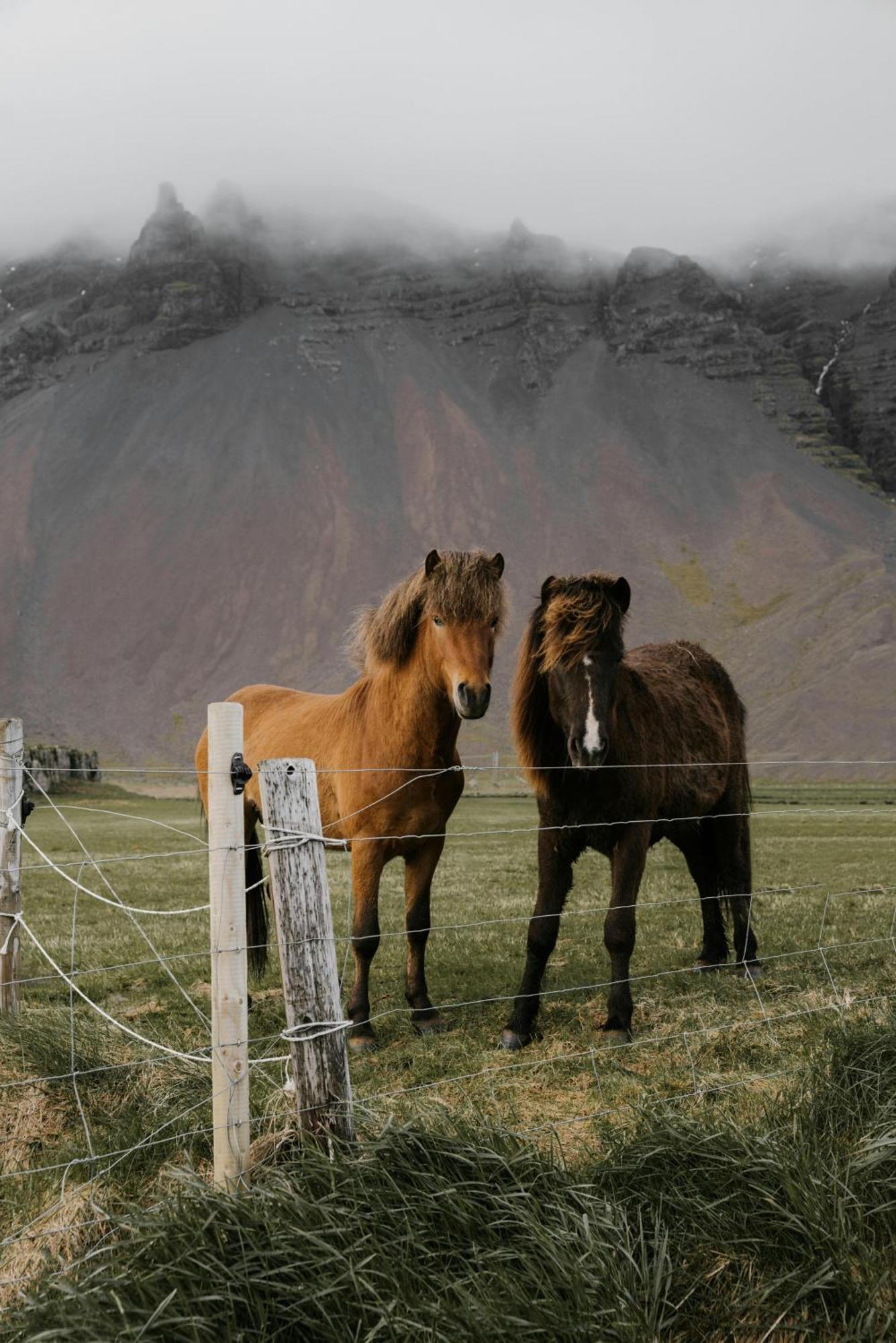Lara Studio: Laugardalur Valley Retreat With Private Entrance And Parking Apartamento