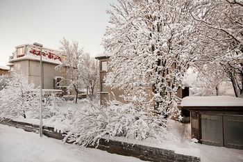 Guest house Nordurey 3*
