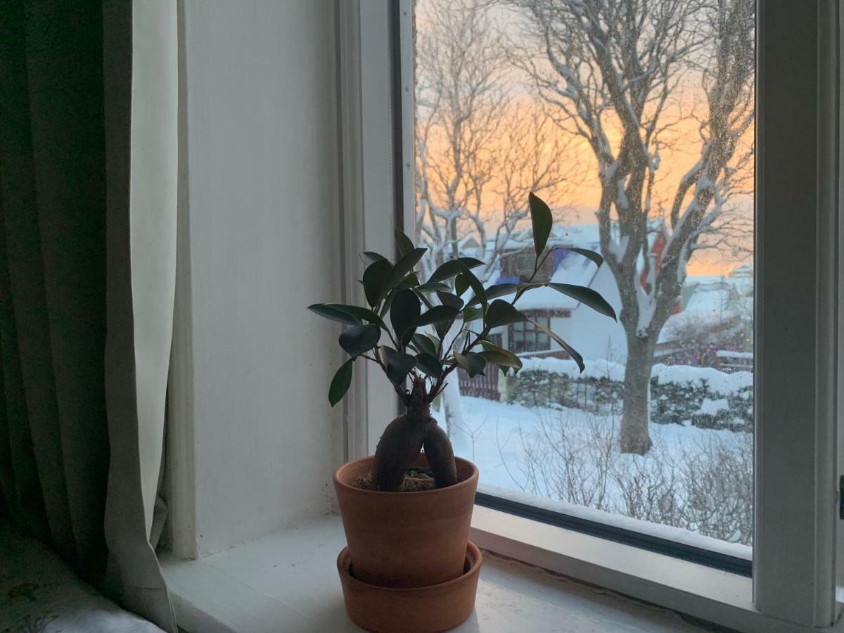Reykjavik Guesthouse Accommodatie bij particulieren Reykjavík